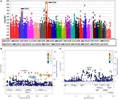 Regulation of Fn14 Receptor and NF-κB Underlies Inflammation in Meniere’s Disease